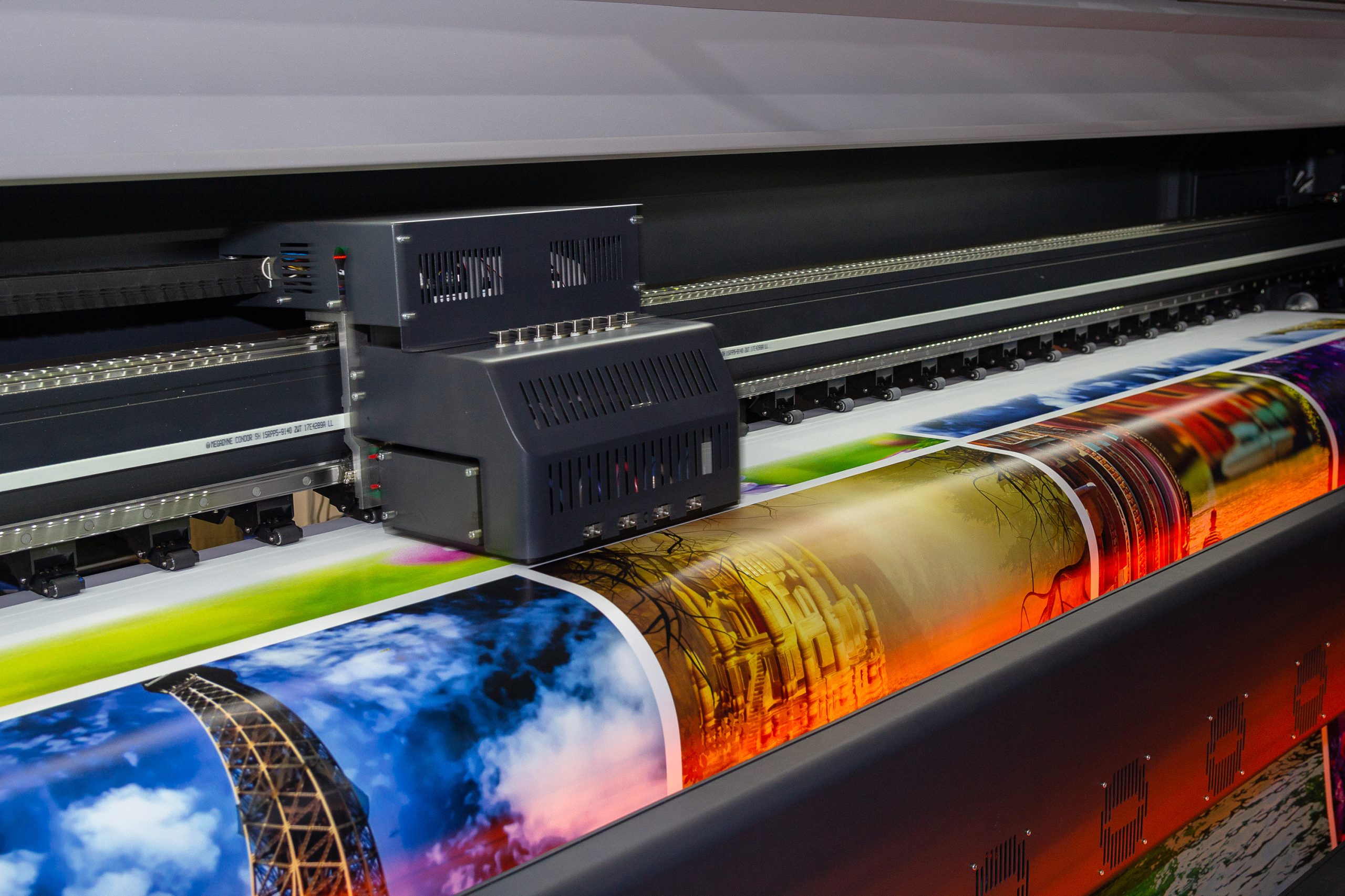 Vibrant Large Format Printing Services